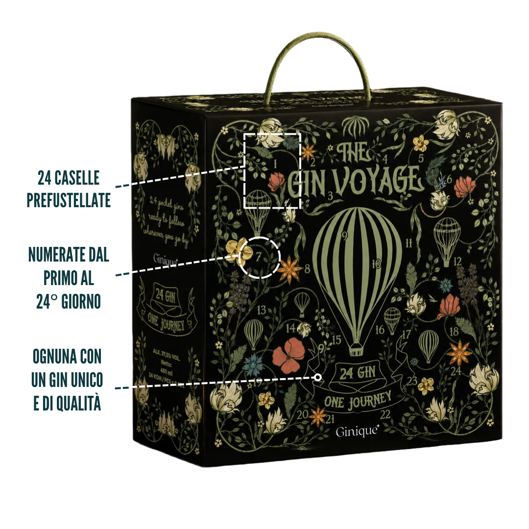 Box Degustazione 24 Gin Premium