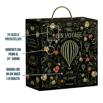 Box Degustazione 24 Gin Premium