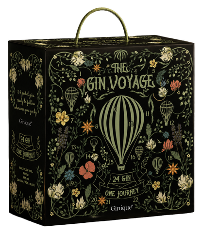 Box Degustazione 24 Gin Premium