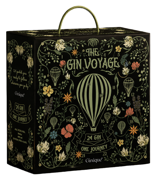 Box Degustazione 24 Gin Premium