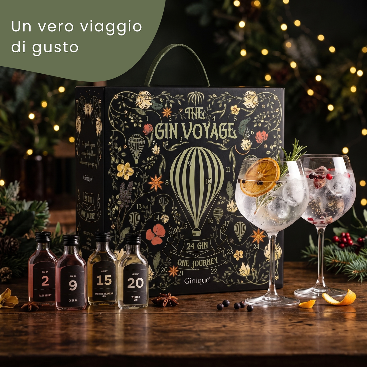 Box Degustazione 24 Gin Premium