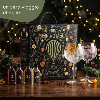 Box Degustazione 24 Gin Premium