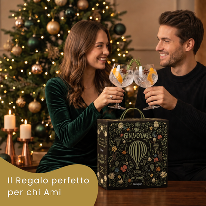 Box Degustazione 24 Gin Premium